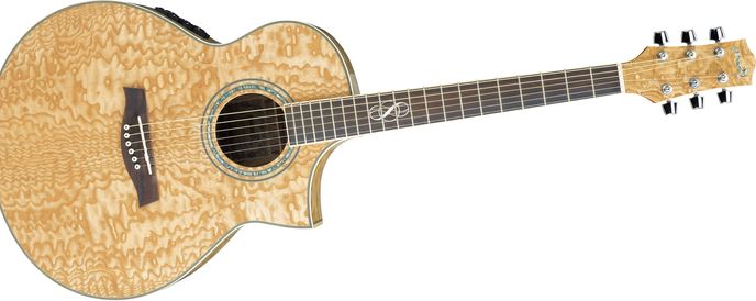 ibanez exotic wood 12 string guitar